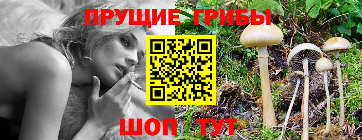 Галлюциногенные грибы прущие грибы Екатеринбург