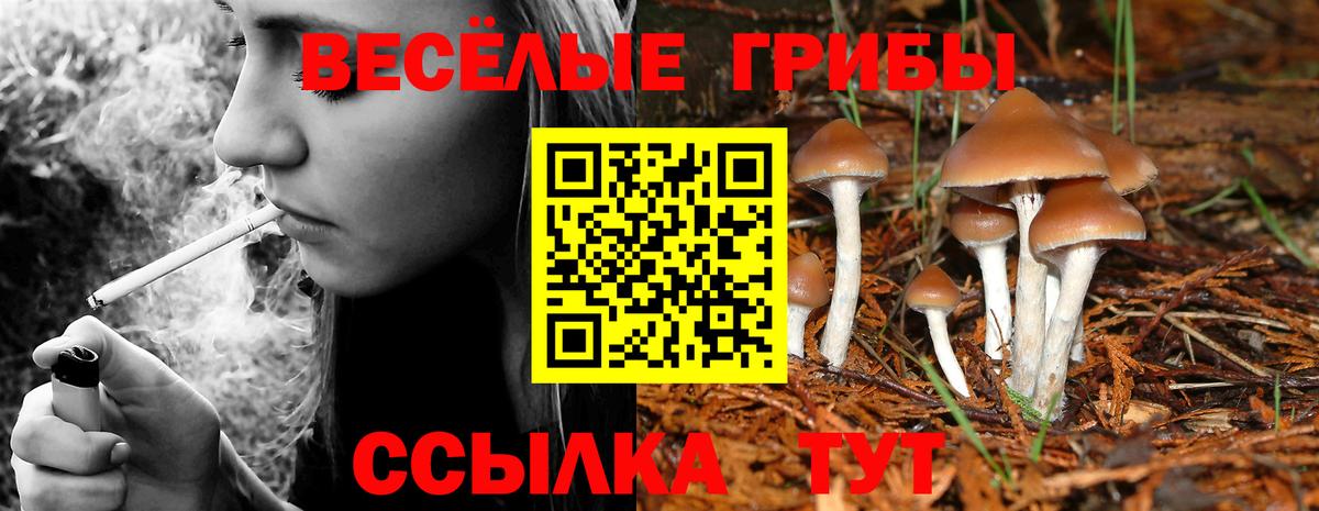 Екатеринбург  где продают наркотики  Вход с VPN  Псилоцибиновые грибы GOLDEN TEACHER 